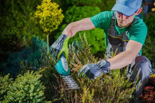 landscaping services Senatobia